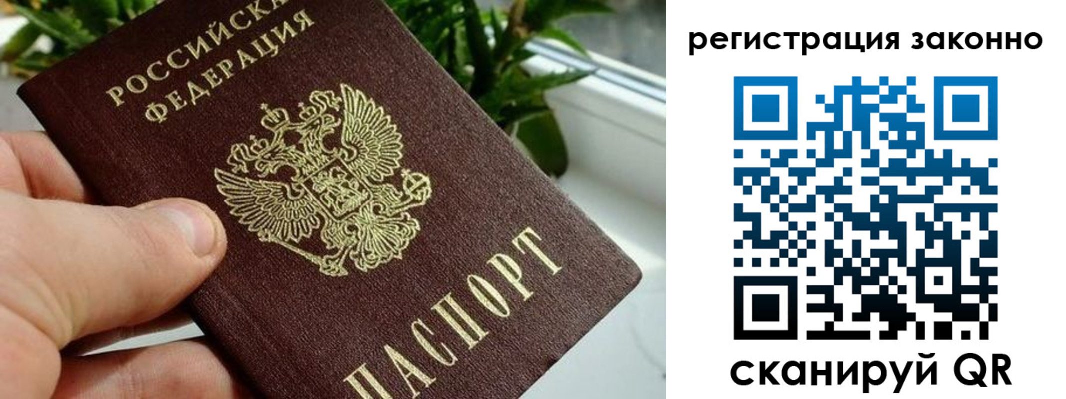 прописка гарантия в Тейково
